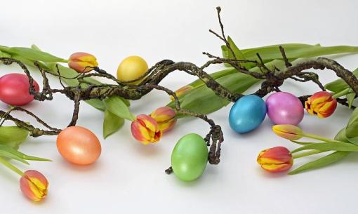 Œufs colorés et tulipes sur des branches torsadées.